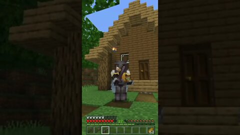 Minecraft Youtubers be like...