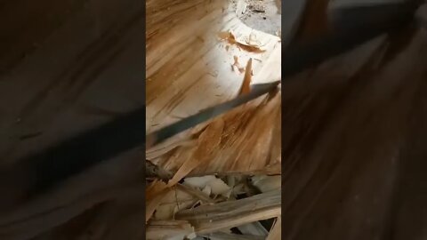 strange satisfaction on wood