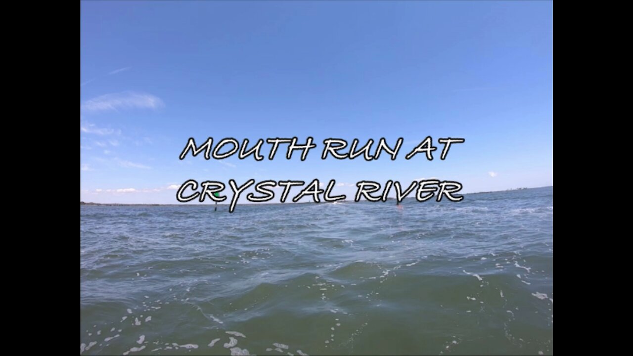 Mouth Run at Crystal River (2020)