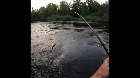 releasing a small