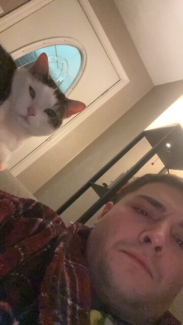 Average Day In The Life