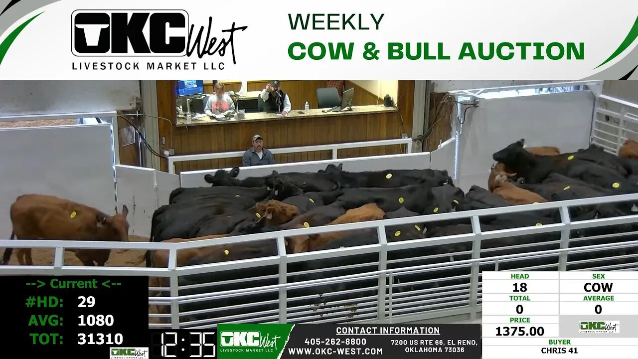 11/27/2023 - OKC West Weekly Cow & Bull Auction