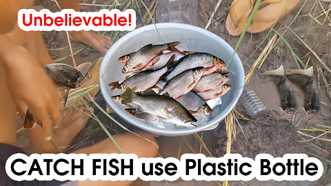 Unbelievable! Amazing 2 Boy Catch Fish With Plastic Bottle Trap