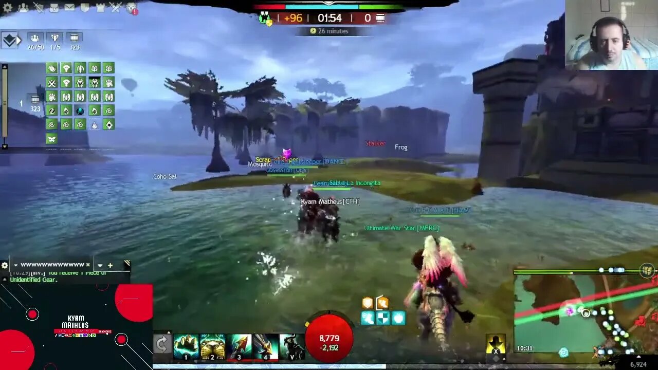 GW2 -FARMING ,PVP and WvW MULTICLASS !!!!!