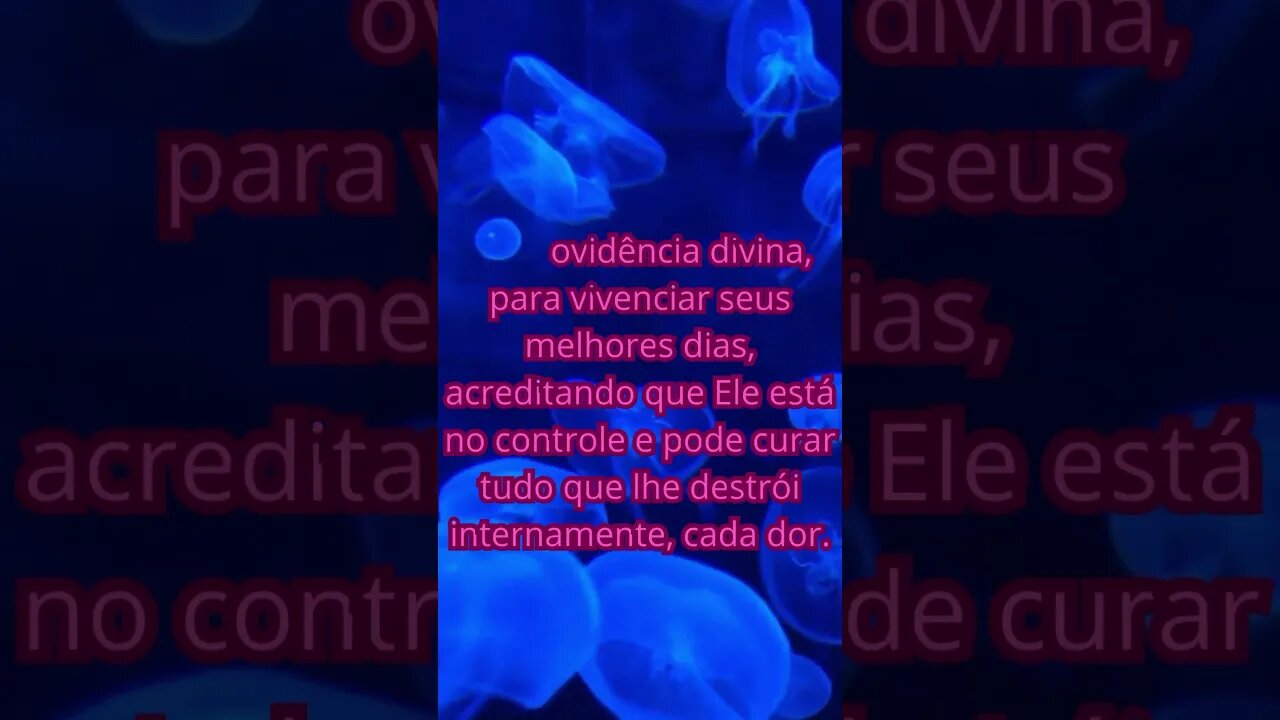 È preciso #frasesdereflexão #shorts #elevandosonhos