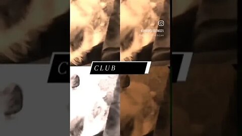 CLUB GIZMO