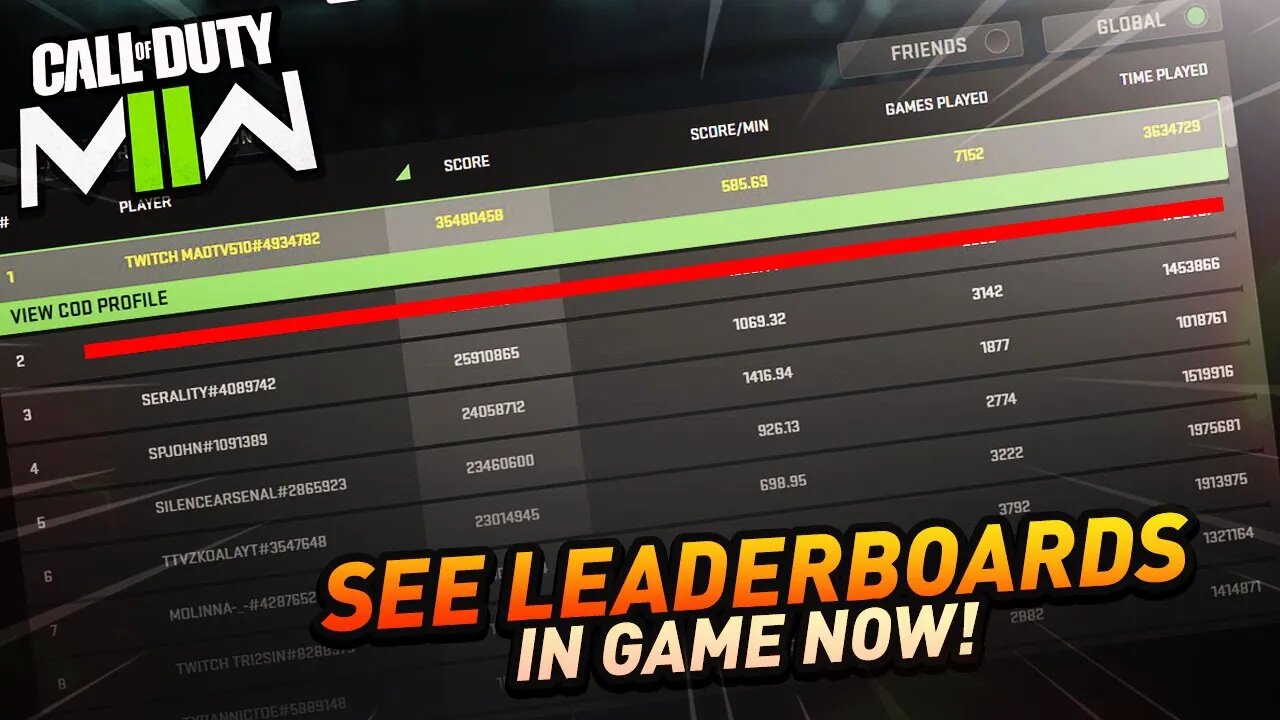 How to See MW2 Leaderboards IN GAME!