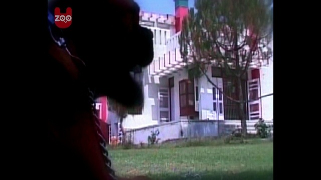 5-Star Indian Dog Hotel