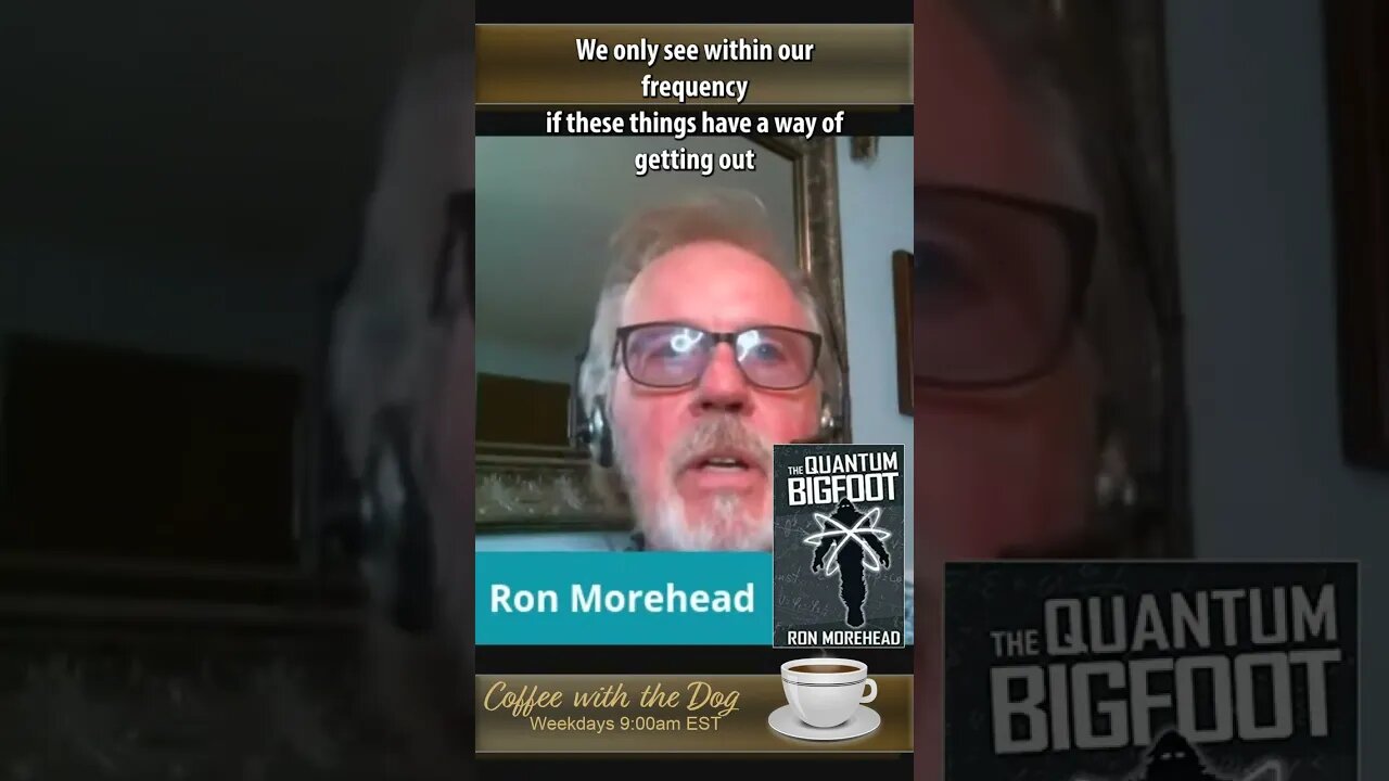 Is BigFoot Interdimensional? #shorts