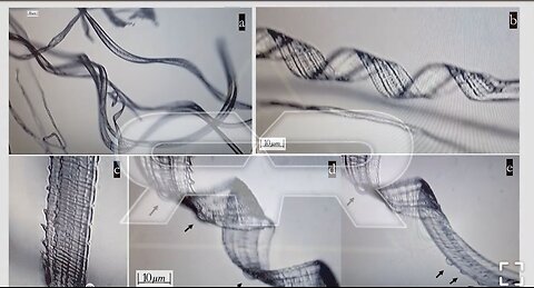 Recent Study Shows Self-Assembly Nanobots in the COVID-19 Injectables #FUCKtheJAB