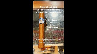 La Pantera Havana Star Connecticut 6x60 Gordo #CigarOfTheDay #BudgetCigar