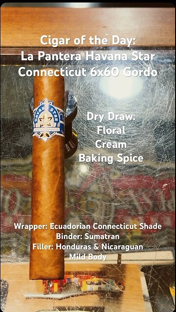 La Pantera Havana Star Connecticut 6x60 Gordo #CigarOfTheDay #BudgetCigar