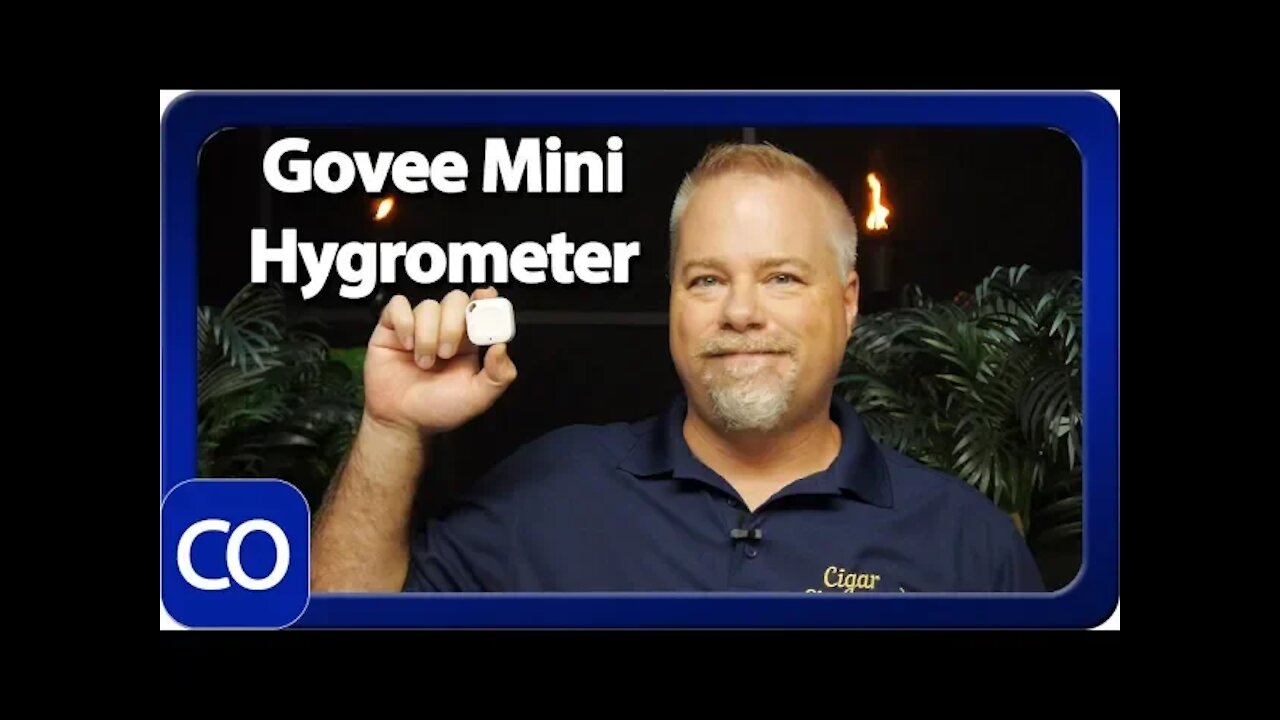 Govee Mini Hygrometer Review