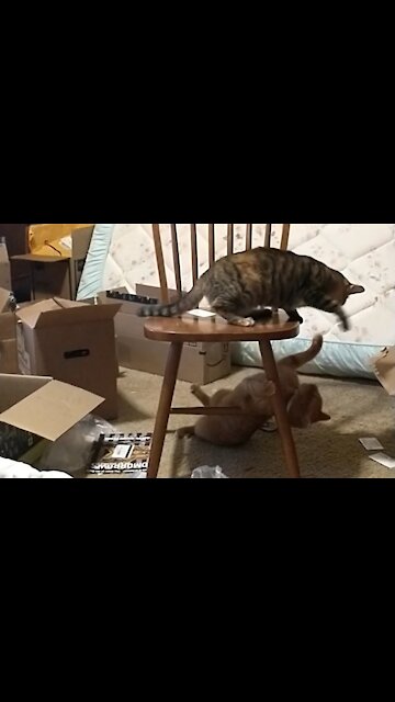 You don't mess with me