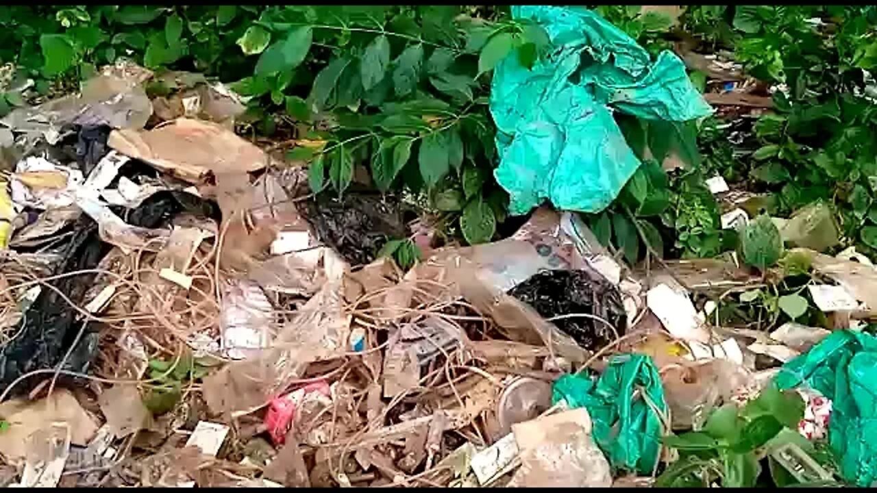 Kitubulu forest turned into a medical waste dumping site.