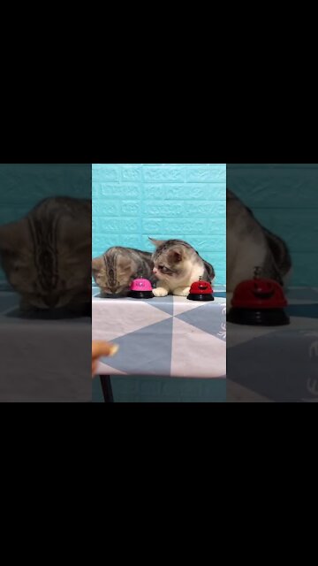 Two guests who do not spend money on meals😄😄