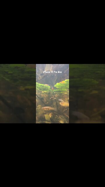 Underwater Video Test - iPhone 14 Pro Max vs Galaxy S22 Ultra vs Pixel 7 Pro