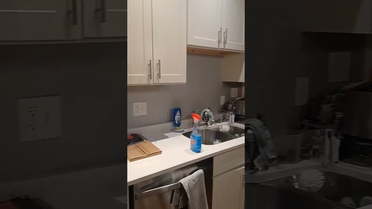 find work from Dave from performer design build