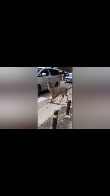 GOD IS NOW HERE OR NOWHERE?