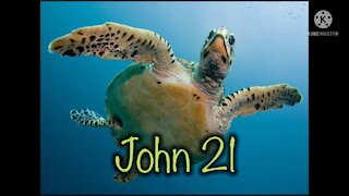 Read the Bible with me. John 21