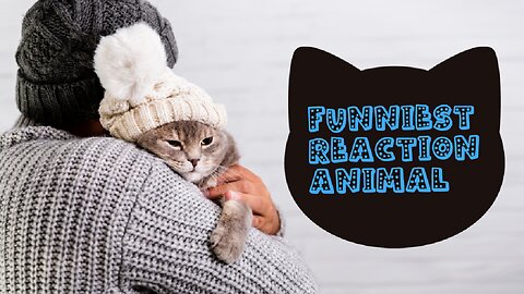 New funny animal video 2024