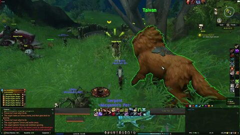 World of Warcraft Dragonflight Shaping a Shepherd
