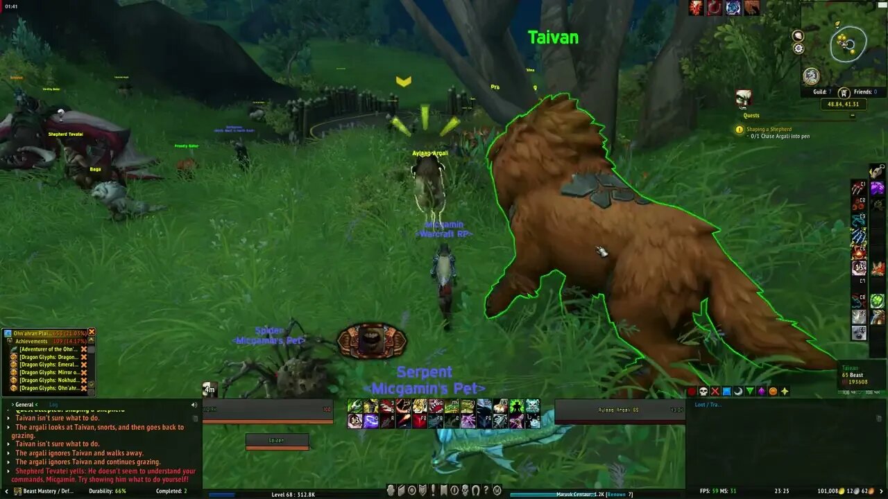 World of Warcraft Dragonflight Shaping a Shepherd