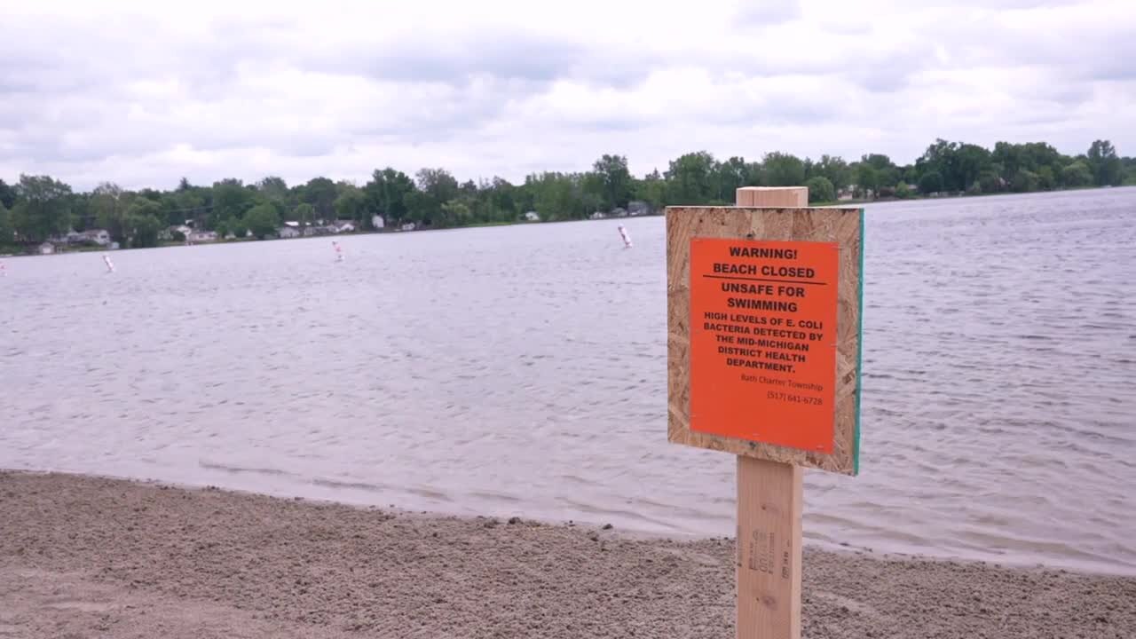 Where does excess E. coli in water like Park Lake come from and how can it be fixed?