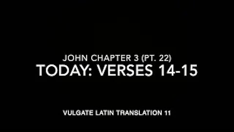 John Ch 3 Part 22 Verses 14–15 (Vulgate 11)