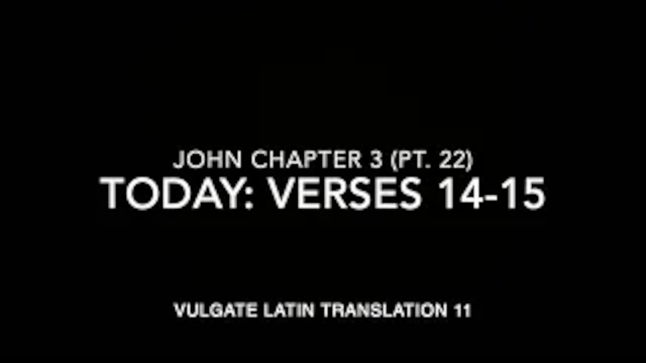 John Ch 3 Part 22 Verses 14–15 (Vulgate 11)