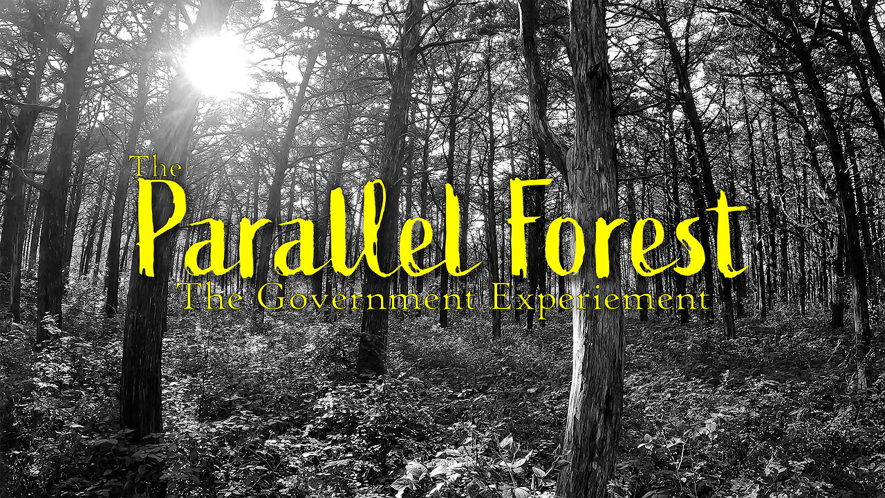 The Parallel Forest - The Government Experiment