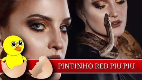 3 - Mulher a melhor amiga da serpente #pintinhoredpiupiu