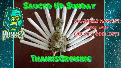 Sauced Up Sunday: ThanksGrowing