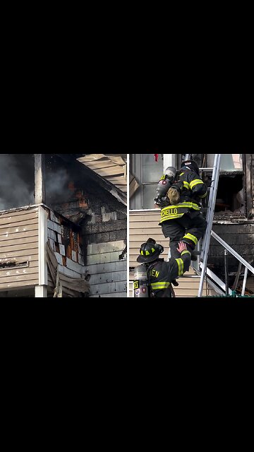Firefighters rescue cat from house fire