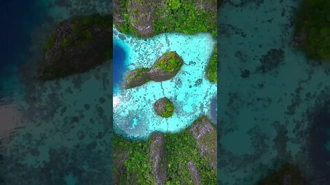 The last paradise is in Indonesia 💚