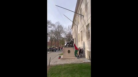 Meanwhile at Harvard