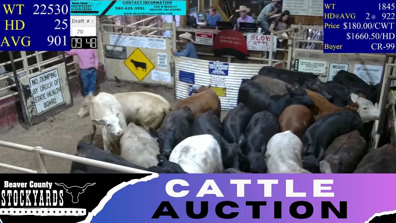 8/22/2023 - Beaver County Stockyards Livestock Auction