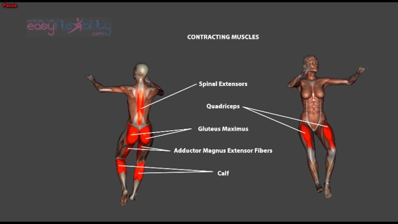 Renverse Tilt Jump Ronverse Dance Ballet Anatomy Kinesiology - YouTube