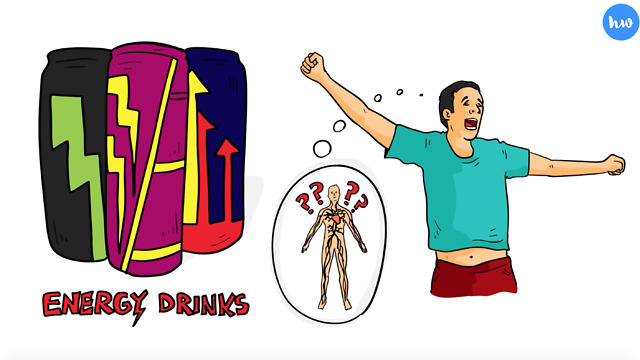 How An Energy Drink Affects Your Body Over 24 Hours