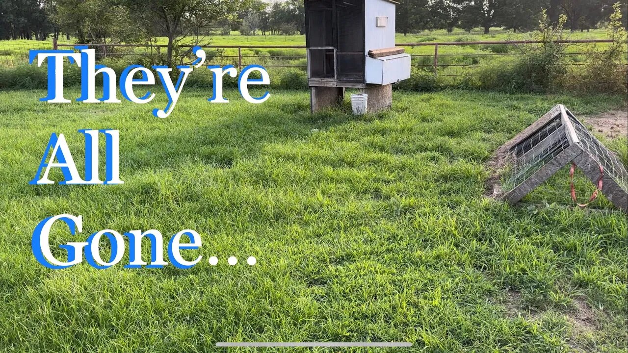 So Many Changes… #farmlife #chickens