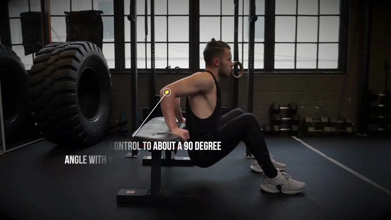 Bench Dip Triceps Exercise Tutorial