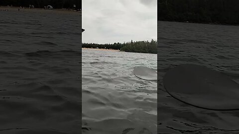 Kayaking on the pond