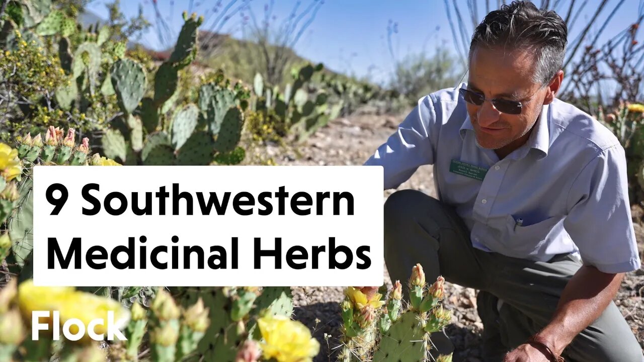 9 MEDICINAL & EDIBLE Southwestern HERBS — Ep. 191