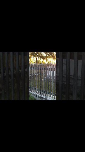 An Underwater Ghost Town In South Carolina, I’m camp where they buried the dead.￼