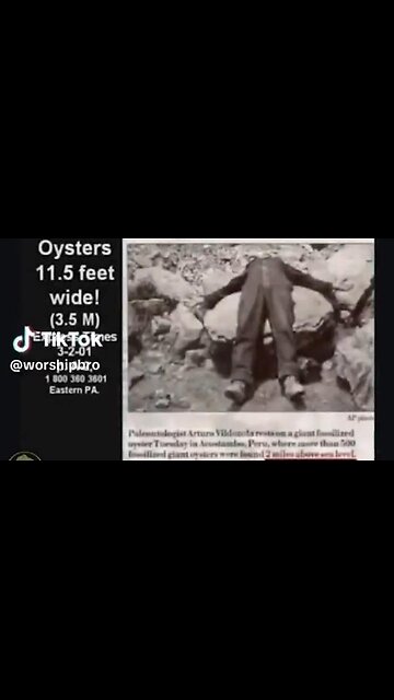 This is Why there's Fossils on Top of Mount Everest