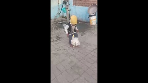 funny videos 😂 video