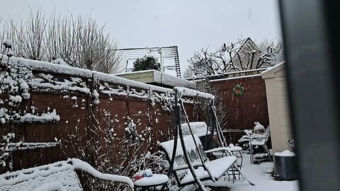 Snow in a Dutch garden. Cozy imagery of compact garden setup in the Netherlands. White landscape