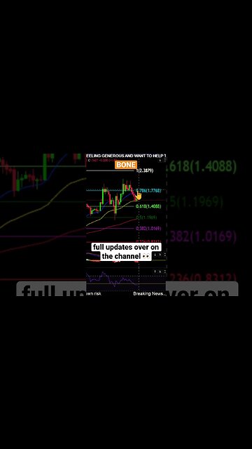 BONE ShibaSwap holding SUPPORT!?💪💎🙌🦴🍖