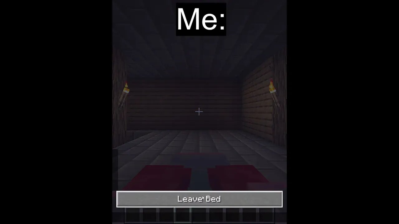 HATERS Don't Think I Can Beat DREAM in Minecraft