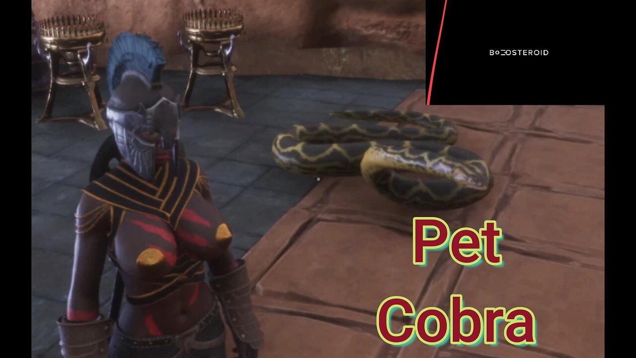 Conan Exiles Beginners guide Giant Pet Cobra Big Busty #Boosteroid #conanexiles